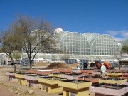 218 - Green roof experiment